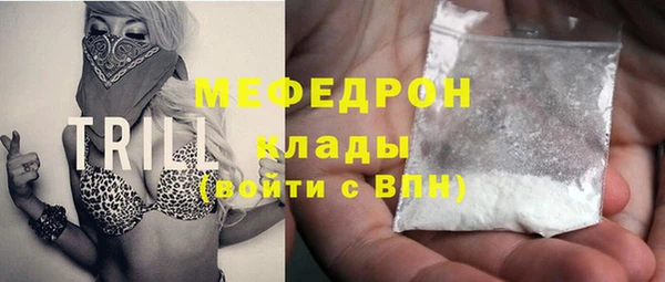 сатива Бородино
