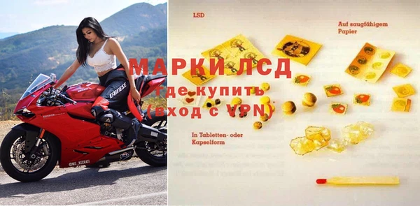 сатива Бородино