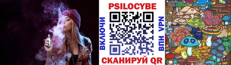 Галлюциногенные грибы Cubensis  где купить   Губкинский 